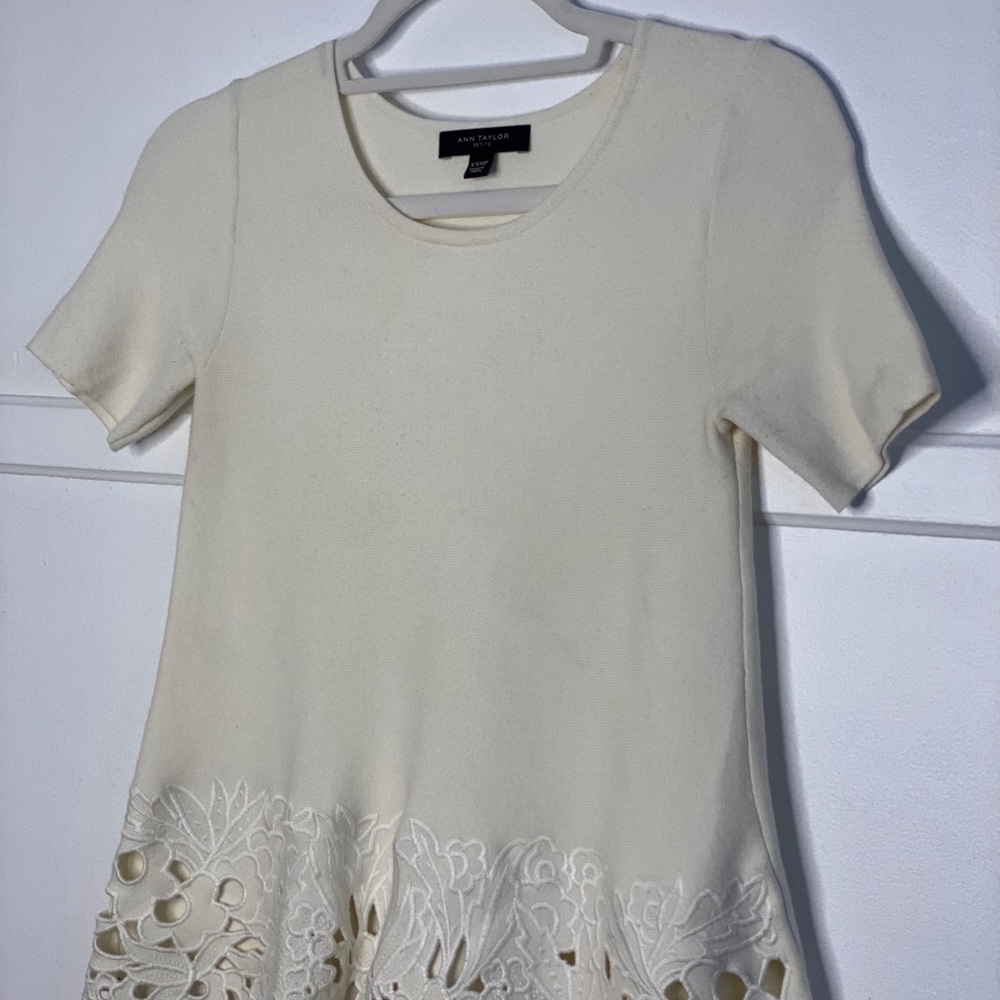 Ann Taylor - Panel Trim Sweater XXSP